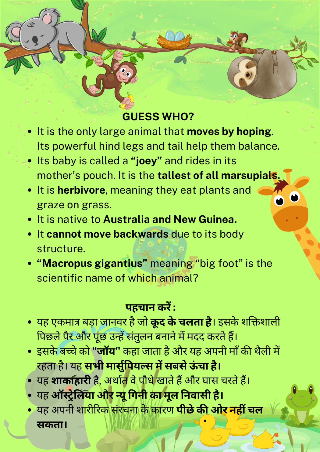 Animal 4 Back